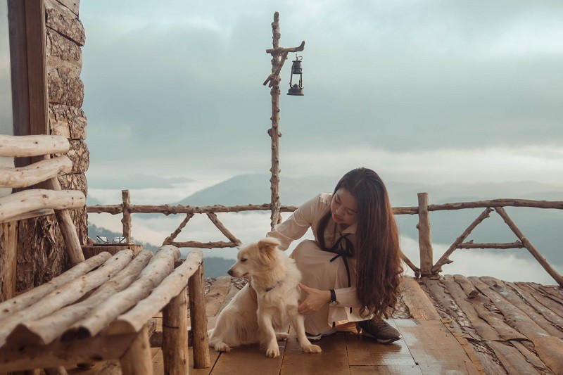  Không dừng lại đó, những bạn FA cũng có thể có trải nghiệm tuyệt vời trên cầu gỗ.