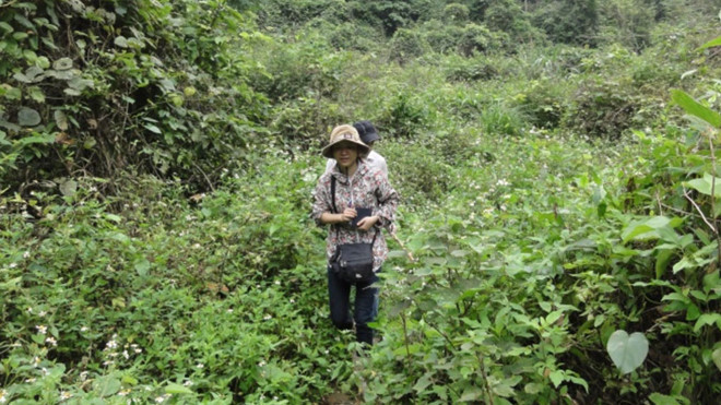 Tiến sĩ Ánh Dương đi thực địa mẫu tại Lạng Sơn - Ảnh H.QUỲNH Tiến sĩ Ánh Dương đi thực địa mẫu tại Lạng Sơn - Ảnh H.QUỲNH