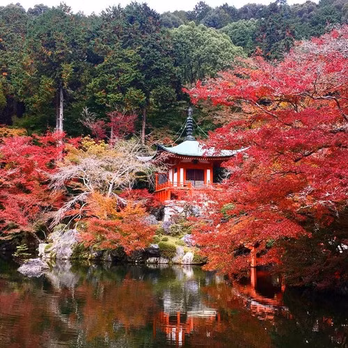  Một trong những cảnh được chụp ảnh nhiều nhất ở khu vực Hạ Daigo là hội trường Bentendo. Công trình nằm trên một hòn đảo nhỏ, bao quanh bởi hồ nước đẹp như tranh vẽ và những cây phong núi, bạch quả. Vào mùa thu, lá phong nhuộm đỏ cả một góc trời kết hợp với sắc đỏ son của đền Bentendo và cây cầu bắc qua ao nước khiến du khách tới đây không thể không trầm trồ. Ảnh: Aliceneko0618, yuriugaya.