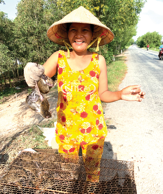  Chị Thủy (xã Tân Lập, huyện Tân Thạnh, Long An) thu nhập 600.000 đồng mỗi ngày nhờ nguồn chuột đồng. Ảnh: Minh Thông