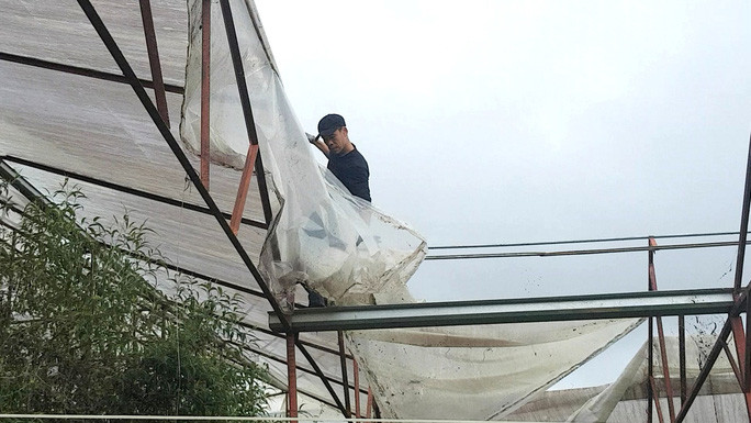 Ông Nguyễn Thanh Tân, người tiên phong tháo dỡ bỏ nhà kính để làm nông nghiệp thuận tự nhiên