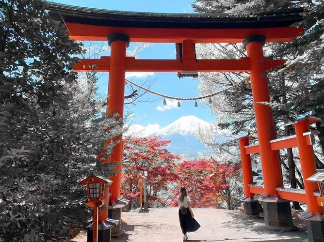 Để lên đến chùa Chureito, du khách phải vượt qua hành trình dài khoảng 397 bậc. Hình ảnh núi Phú Sĩ, ngôi chùa đỏ, hoa anh đào nở rực cả một góc trời đã trở thành một trong những hình ảnh hoàn hảo về đất nước Nhật Bản trong tưởng tượng của rất nhiều khách du lịch nước ngoài đến với đất nước. Ảnh: Molllified, Herrokelly.