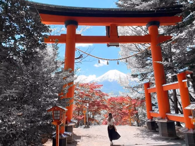 Để lên đến chùa Chureito, du khách phải vượt qua hành trình dài khoảng 397 bậc. Hình ảnh núi Phú Sĩ, ngôi chùa đỏ, hoa anh đào nở rực cả một góc trời đã trở thành một trong những hình ảnh hoàn hảo về đất nước Nhật Bản trong tưởng tượng của rất nhiều khách du lịch nước ngoài đến với đất nước. Ảnh: Molllified, Herrokelly.