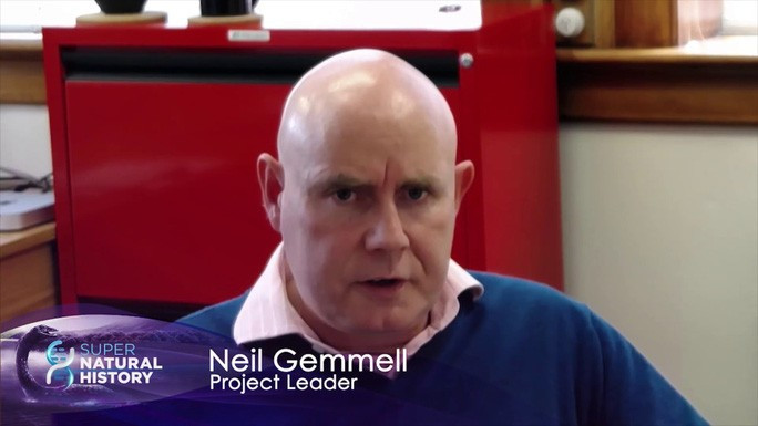 Ông Neil Gemmell. Ảnh: Mercury News  Ông Neil Gemmell. Ảnh: Mercury News