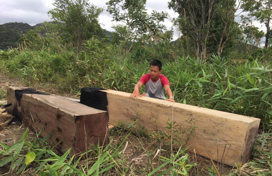 Một vụ tàng trữ gỗ trái phép trên địa bàn huyện Ia Pa. Ảnh: văn Ngọc