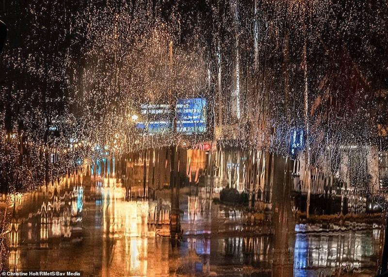  Memphis nhìn qua cửa kính xe trong cơn mưa (Ảnh: Christine Holt).