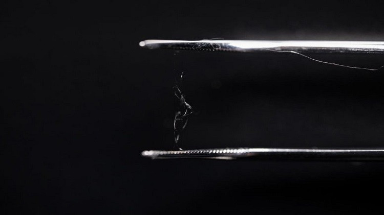 Cellulose từ gỗ và tơ nhện có thể tạo thành vật liệu thay thế nhựa. Ảnh: Scitech Daily Cellulose từ gỗ và tơ nhện có thể tạo thành vật liệu thay thế nhựa. Ảnh: Scitech Daily