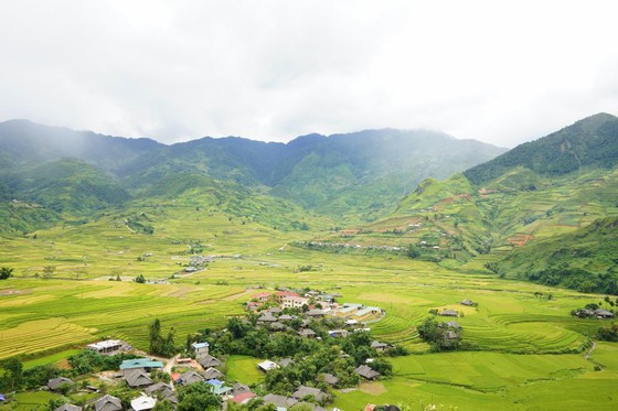  Vào những ngày cuối tháng 8, đầu tháng 9, khi mùa lúa trên những cánh đồng Yên Bái bắt đầu chín rộ, du khách còn chần chừ gì mà không đến với nơi đây để chiêm ngưỡng bức tranh mùa vàng tuyệt đẹp. Mùa cốm non đã thực sự bắt đầu... 