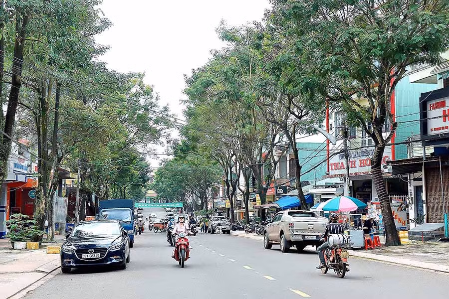  Đoạn đường Hoàng Văn Thụ nằm trên địa bàn phường Ia Kring, TP. Pleiku. Ảnh: Đức thụy