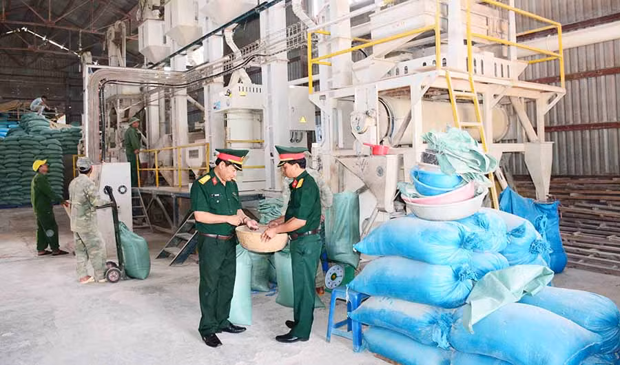  Cán bộ Cục Hậu cần Quân đoàn 3 kiểm tra chất lượng gạo xay xát. Ảnh: L.Q