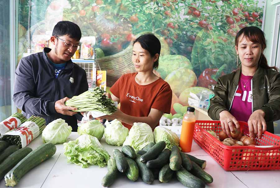 Cửa hàng rau sạch của Hợp tác xã Dịch vụ Nông nghiệp An Bình (thị xã An Khê). Ảnh: N.M
