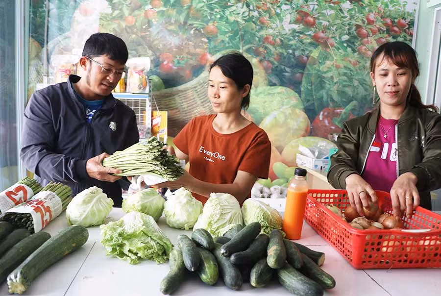 Cửa hàng rau sạch của Hợp tác xã Dịch vụ Nông nghiệp An Bình (thị xã An Khê). Ảnh: N.M