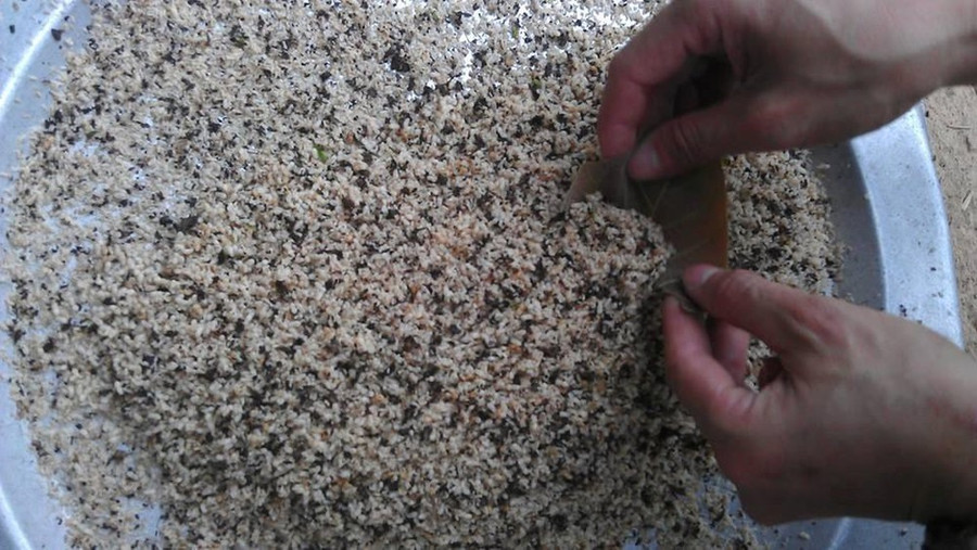  Sơ chế trứng kiến rất vất vả để loại bỏ hoàn toàn bụi đất.