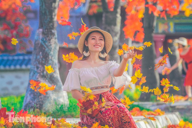 Thân cây và các mô hình giả được các nghệ sĩ đắp vẽ bồi bẳng xốp vải và vật liệu chuyên ngành trong 3 tháng và cành và lá cây được nhập khẩu từ nước ngoài với tổng số khoảng 30.000 cành được phối cảnh theo các màu sắc vàng, đỏ, thấp cao tạo đc những khối màu liên kết rực rỡ.