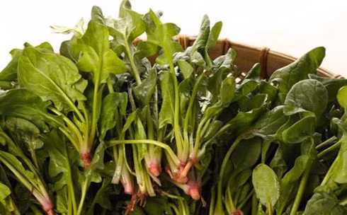 Hình ảnh cây rau chân vịt