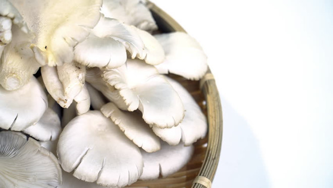 Ảnh minh họa: Shutterstock Ảnh minh họa: Shutterstock