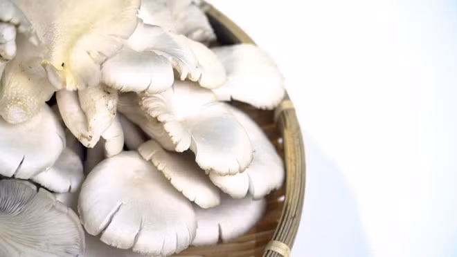 Ảnh minh họa: Shutterstock Ảnh minh họa: Shutterstock