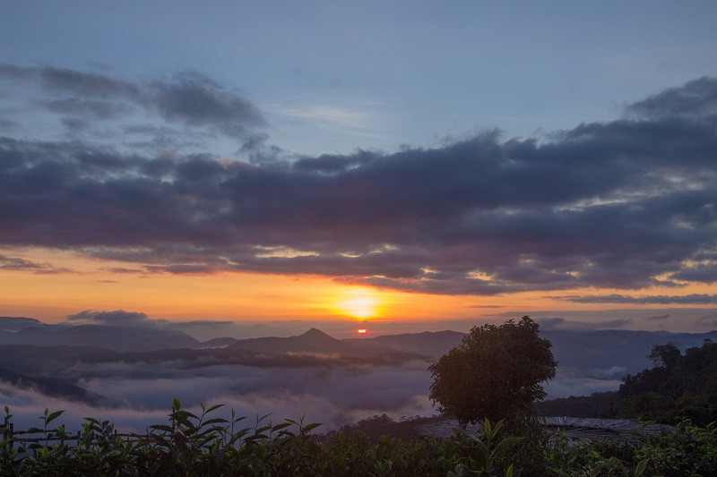 Đây là hình ảnh từ hướng cầu gỗ vào lúc hoàng hôn. Chắc chắn sẽ làm bạn thích thú tột cùng
