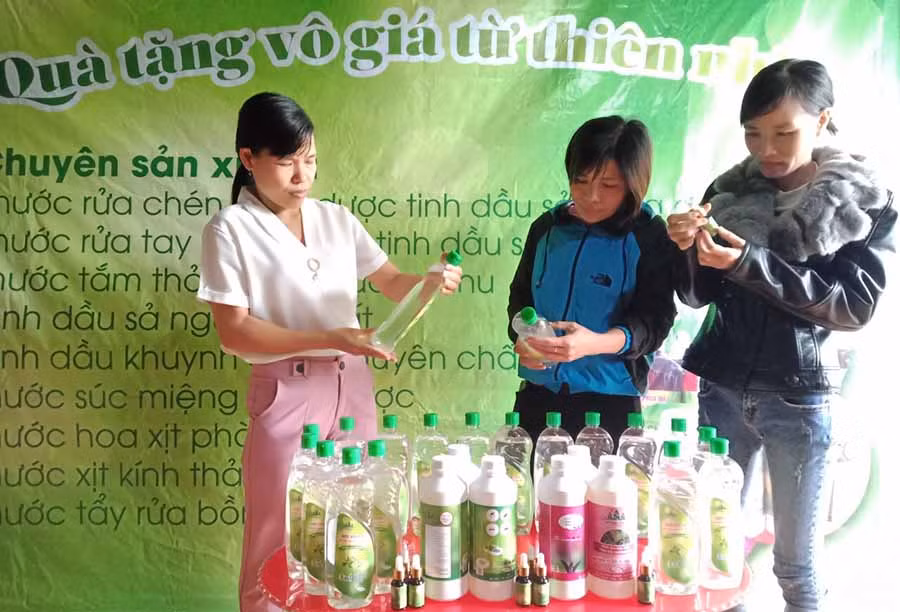  Sản phẩm của HTX Nông nghiệp-Dịch vụ Mang Yang được người tiêu dùng rất ưa chuộng. Ảnh: V.T