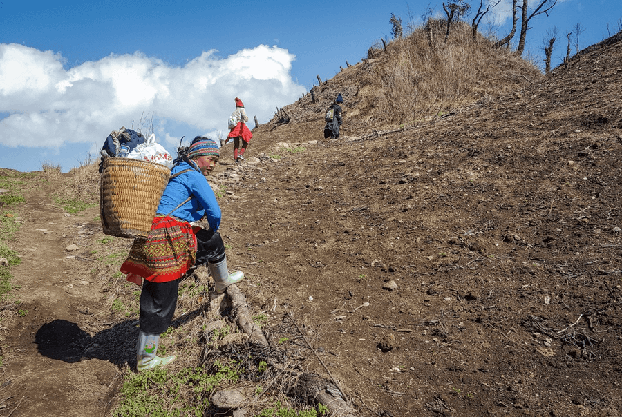 Các cô gái dân tộc thường xuyên lên và xuống núi Lảo Thẩn để làm việc và sinh sống. Các cô gái dân tộc thường xuyên lên và xuống núi Lảo Thẩn để làm việc và sinh sống.