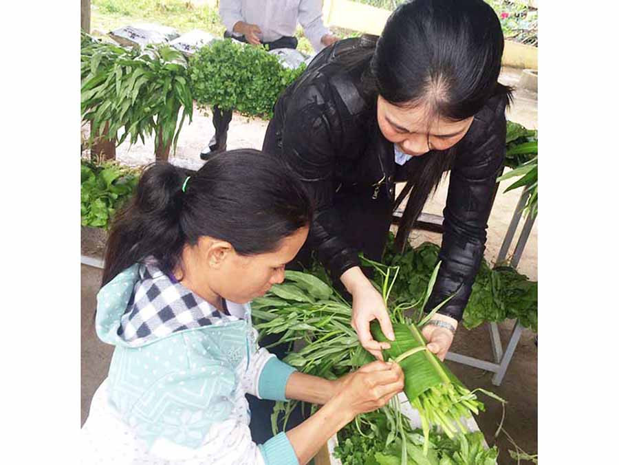  Chị em phụ nữ huyện Đak Pơ dùng lá chuối gói rau. Ảnh: L.A