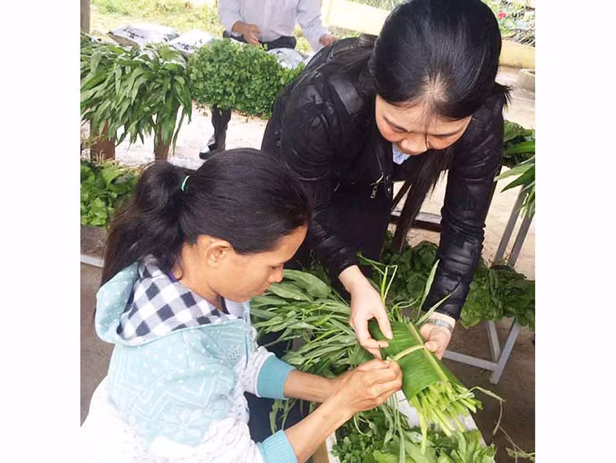  Chị em phụ nữ huyện Đak Pơ dùng lá chuối gói rau. Ảnh: L.A