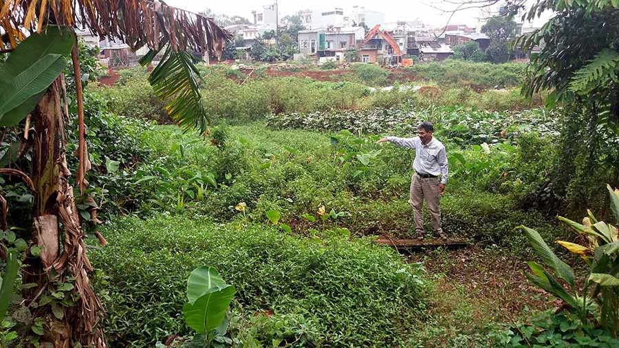 Ông Bùi Văn Thêm bên lô đất bị thu hồi. Ảnh: T.H