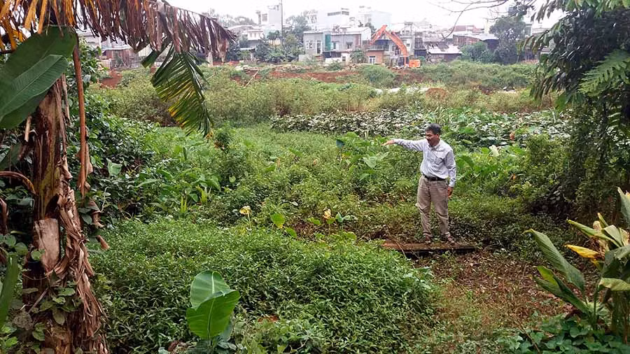 Ông Bùi Văn Thêm bên lô đất bị thu hồi. Ảnh: T.H