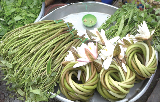 Bông súng trắng - sản vật mùa lũ