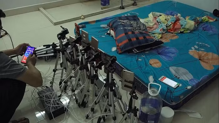 Cả chục điện thoại livestream cảnh sex trực tuyến cùng lúc để bán cho nhiều trang trụy lạc - - Ảnh: Nguyễn Tú