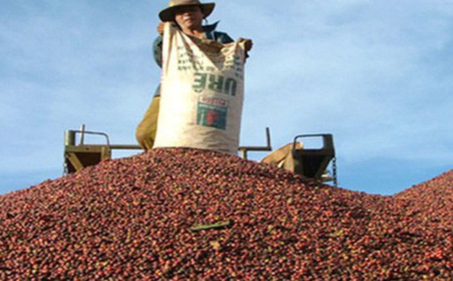 Khối lượng cà phê xuất khẩu trên địa bàn tỉnh Gia Lai đạt khoảng 125.000 tấn với kim ngạch hơn 200 triệu USD. Ảnh internet khối lượng cà phê xuất khẩu trên địa bàn tỉnh Gia Lai đạt khoảng 125.000 tấn với kim ngạch hơn 200 triệu USD