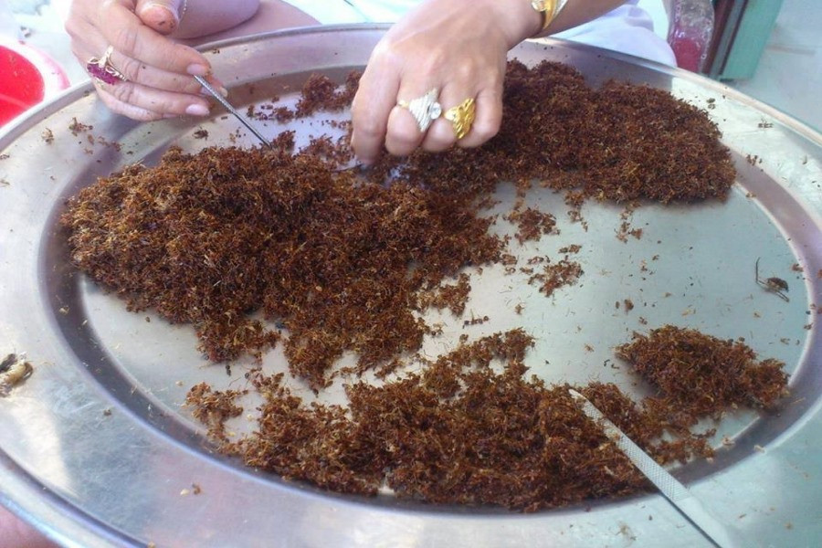  Người dân Gia Lai tỉ mỉ lọc từng chút một để có mẻ muối kiến thơm ngon.