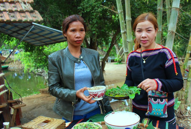  Kiến vàng được người Ê Đê chế biến thành nhiều món hấp dẫn