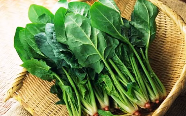 Một trong những loại rau rất tốt cho tim mạch đó chính là rau cải bó xôi và các loại rau lá xanh. Trong thành phần dinh dưỡng của rau cải bó xôi có chứa chất xơ, vừa giàu chất chống oxy hóa, vitamin, khoáng chất giúp điều chỉnh huyết áp tốt, cũng như kích hoạt tim hiệu quả khiến bạn giảm được các căn bệnh liên quan tới tim mạch, phòng chống đột quỵ hiệu quả. Ảnh minh họa: Internet