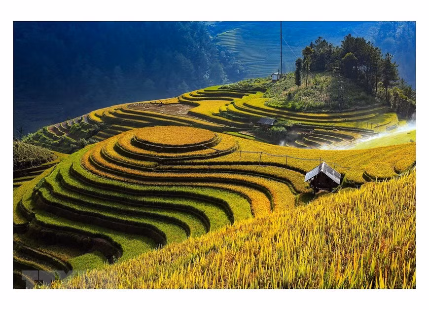 Ruộng bậc thang Mù Cang Chải vào mùa lúa chín.