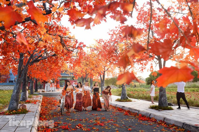 Đây được xem là một điểm đến không thể thiếu tại Hà Nội và mùa thu này.