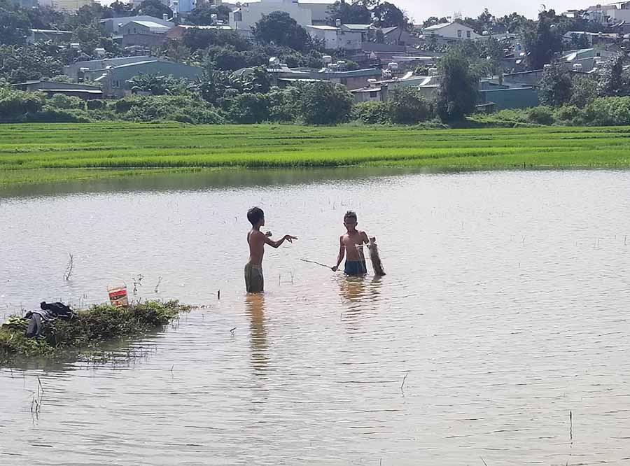 Trẻ em thả lưới bắt cá trong mùa mưa tại cánh đồng thung lũng Ia Lung, phường Hoa Lư, TP. Pleiku. Ảnh: Chí Hào Trẻ em thả lưới bắt cá trong mùa mưa tại cánh đồng thung lũng Ia Lung, phường Hoa Lư, TP. Pleiku. Ảnh: Chí Hào