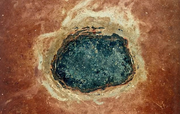 Hóa thạch của một mảnh thiên thạch có liên quan đến vụ tiểu hành tinh va chạm 466 triệu năm trước - ảnh: BIRGER SCHMITZ