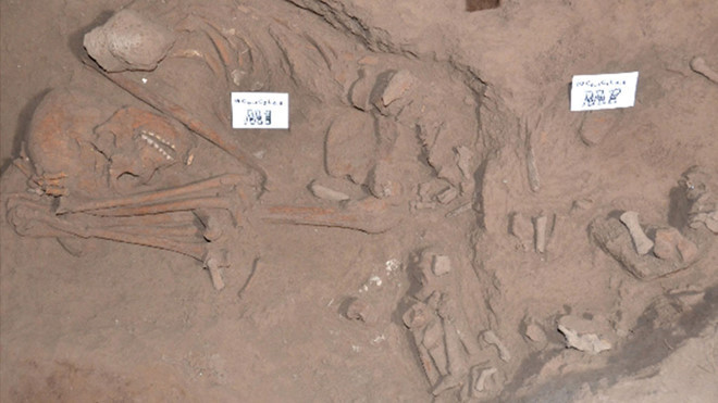 Di cốt người tiền sử trưởng thành mới khai quật vào tháng 3.2019 - Ảnh: Lã Thế Phúc, Bảo tàng Thiên nhiên cung cấp Di cốt người tiền sử trưởng thành mới khai quật vào tháng 3.2019 - Ảnh: Lã Thế Phúc, Bảo tàng Thiên nhiên cung cấp