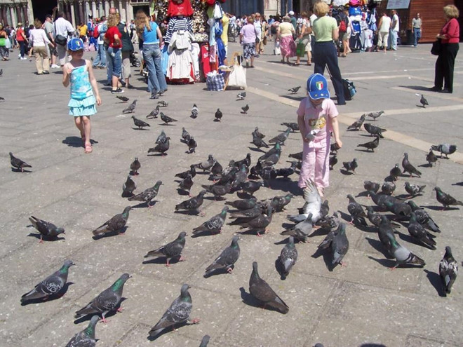 Rác thải đang là một vấn đề mà thành phố Venice quan tâm.