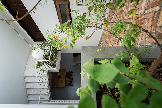 Khu vực giếng trời lấy sáng toàn ngôi nhà. Khu vực giếng trời lấy sáng toàn ngôi nhà.