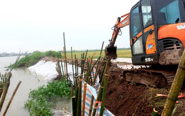 Thái Bình khắc phục sự cố vỡ bờ bao tại huyện Kiến Xương do bão số 8. (Ảnh: TTXVN) Thái Bình khắc phục sự cố vỡ bờ bao tại huyện Kiến Xương do bão số 8. (Ảnh: TTXVN)