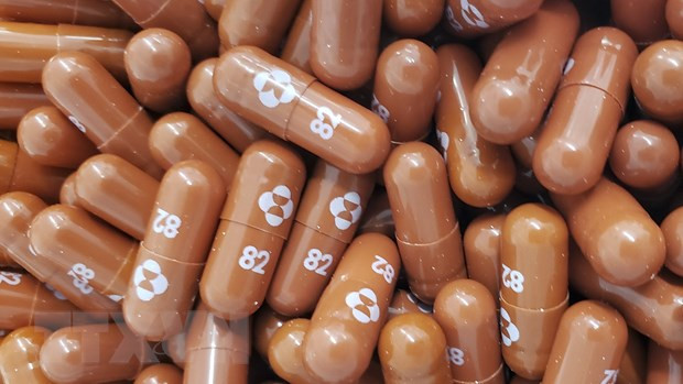 Thuốc Molnupiravir do hãng Merck & Co của Mỹ bào chế. Ảnh: AFP/TTXVN