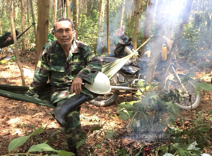 Nông dân Đỗ Duy Thụy, Đỗ Duy Thụy vốn ở thị xã Hoài Nhơn, (tỉnh Bình Địnhh) trong cánh rừng của mình. Ảnh: TB.  Nông dân Đỗ Duy Thụy, Đỗ Duy Thụy vốn ở thị xã Hoài Nhơn, (tỉnh Bình Địnhh) trong cánh rừng của mình. Ảnh: TB.