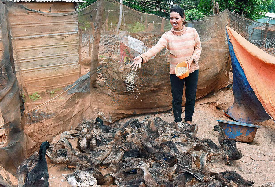Gia đình chị Siu Bien (làng Nhă, xã Ia Blang) thoát nghèo từ chương trình hỗ trợ vật nuôi của Hội LHPN huyện. Ảnh: Đức Thụy Gia đình chị Siu Bien (làng Nhă, xã Ia Blang) thoát nghèo từ chương trình hỗ trợ vật nuôi của Hội LHPN huyện. Ảnh: Đức Thụy