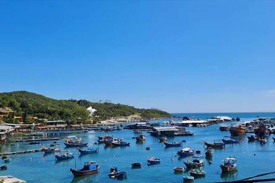 Hãy xem thông hành vaccine là yếu tố đảm bảo an toàn đi lại. Ảnh: LĐ