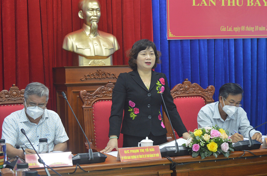  Bí thư Đảng ủy Khối Phạm Thị Tố Hải kết luận hội nghị. Ảnh: Anh Huy 