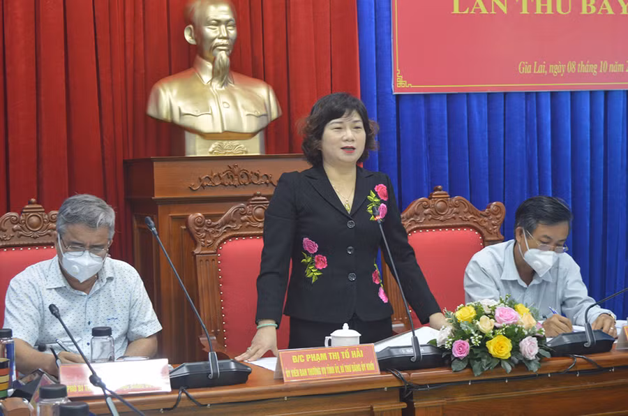  Bí thư Đảng ủy Khối Phạm Thị Tố Hải kết luận hội nghị. Ảnh: Anh Huy 