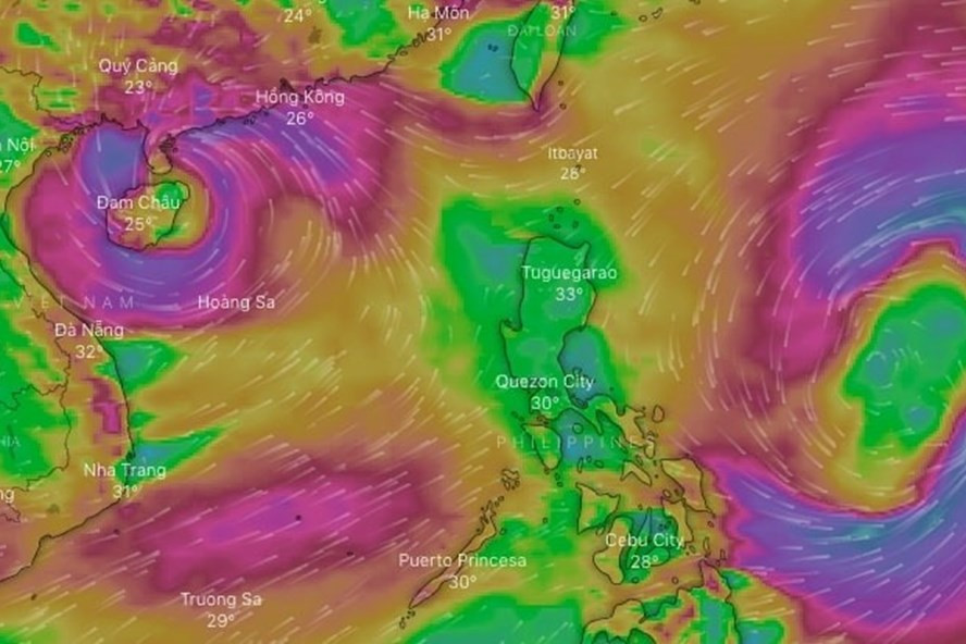 Bão số 8 theo sau bão số 7 tiến vào Biển Đông. Ảnh: WINDY.