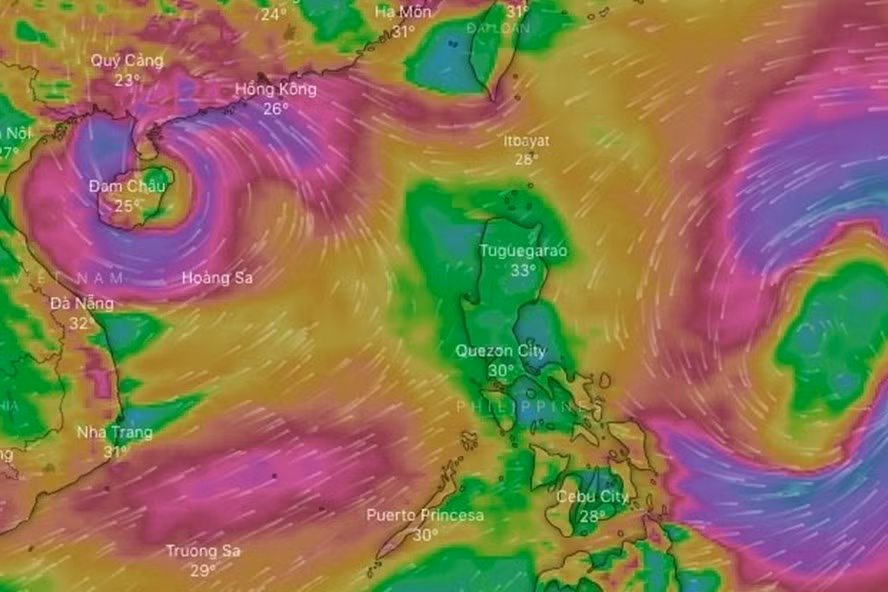 Bão số 8 theo sau bão số 7 tiến vào Biển Đông. Ảnh: WINDY.